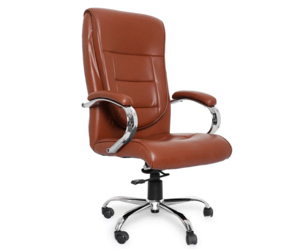 Ergonomic High Back Office Chair