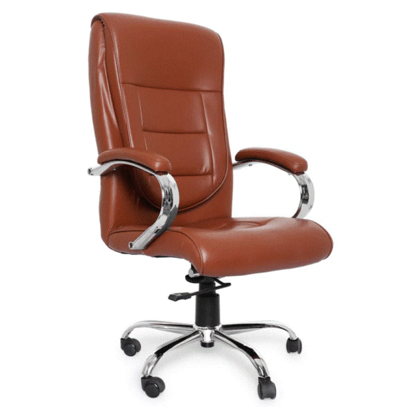 Ergonomic High Back Office Chair