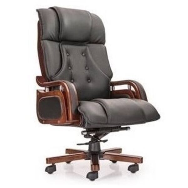 Premium Ergonomic Chair