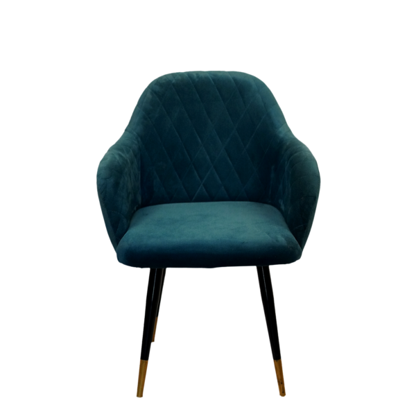 Modern Dinning Chair