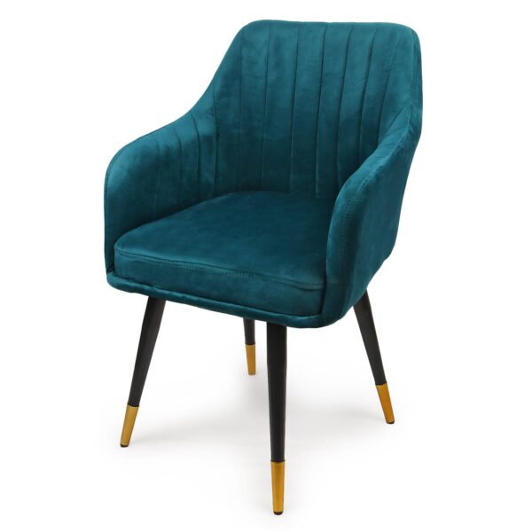 Accent Chair for Living Room