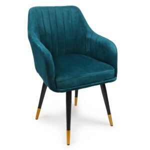 Accent Chair for Living Room