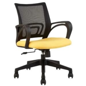 Mesh Fabric Low Back Chair