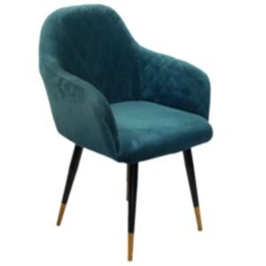 Modern Dinning Chair